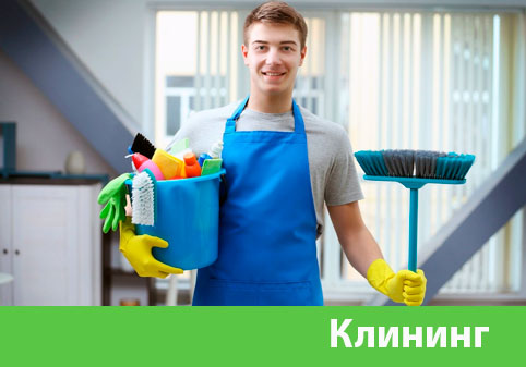 Клининг в городе Лобня